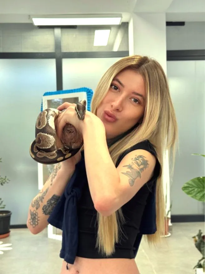 Lisamola