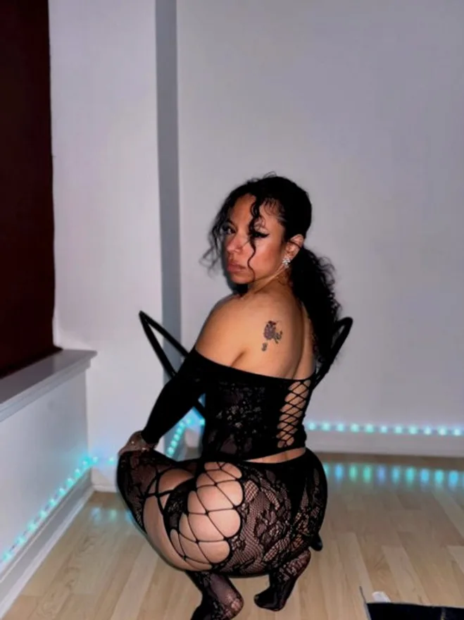 Piper